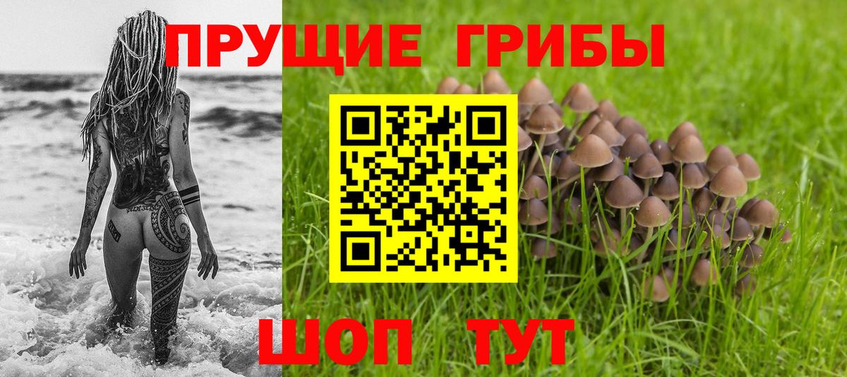 Партизанск  Псилоцибиновые грибы ЛСД  Вход с VPN  Псилоцибиновые грибы Psilocybe 