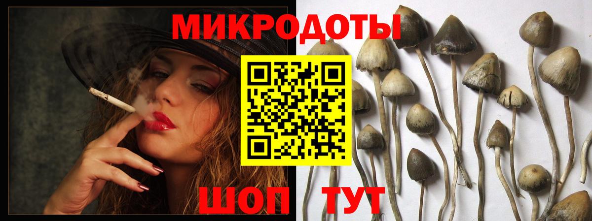 Галлюциногенные грибы Cubensis Партизанск